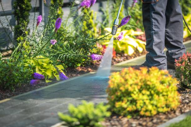 Best Driveway Pressure Washing  in Salem, WV