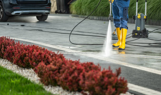 Best Roof Washing  in Salem, WV